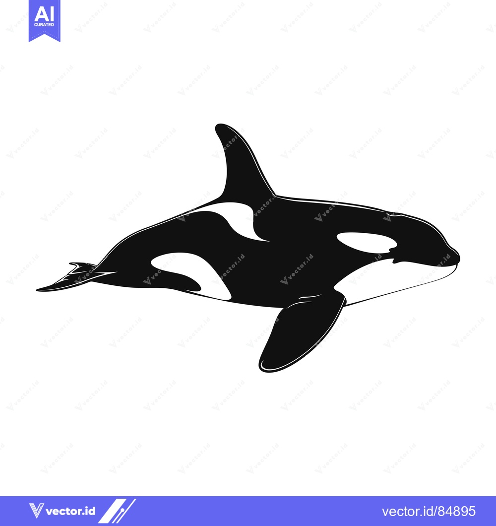 Premium Vector dari Black and White Silhouette of a Killer Whale Swimming