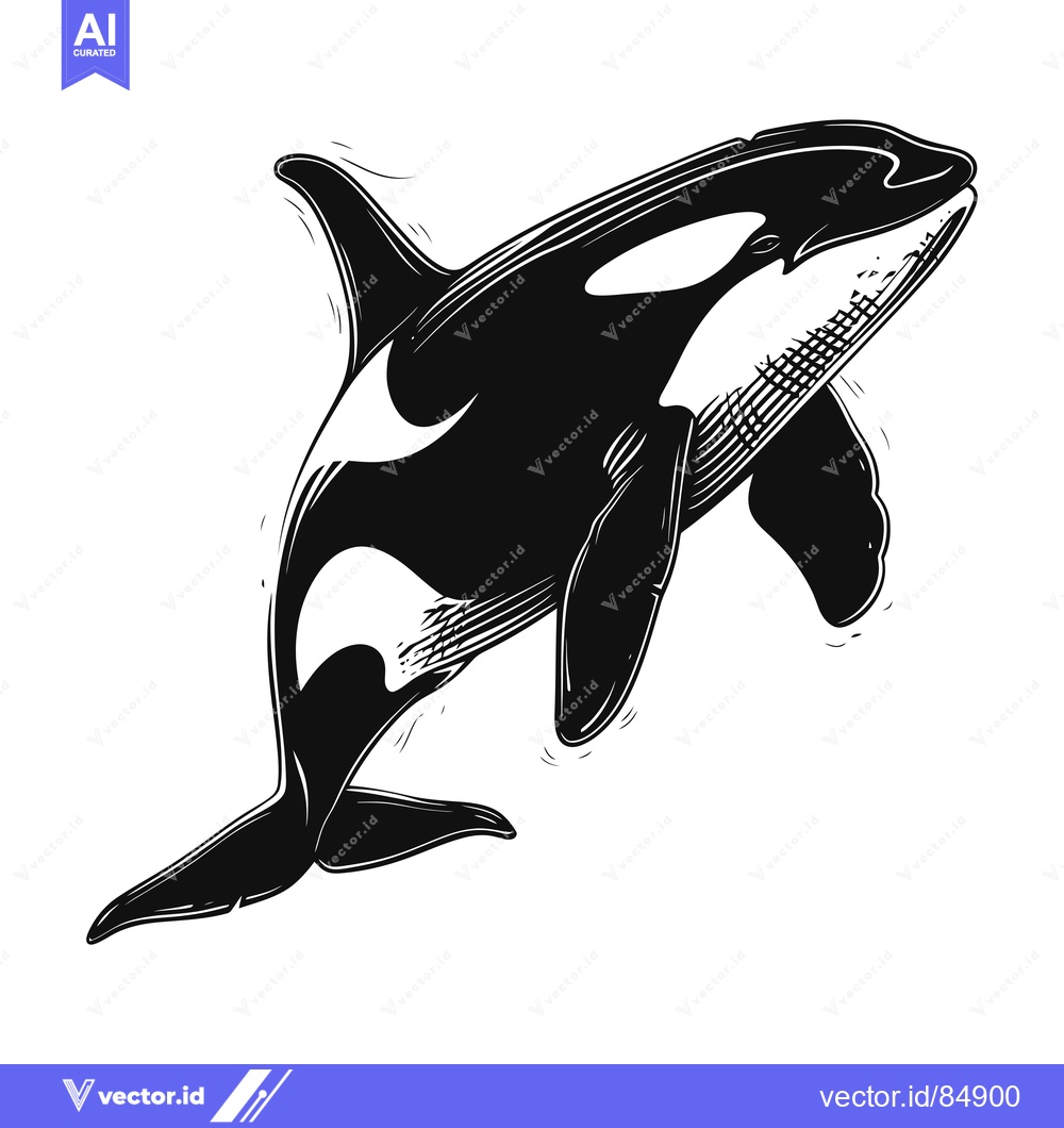 Premium Vector dari Black and White Illustration of a Leaping Orca