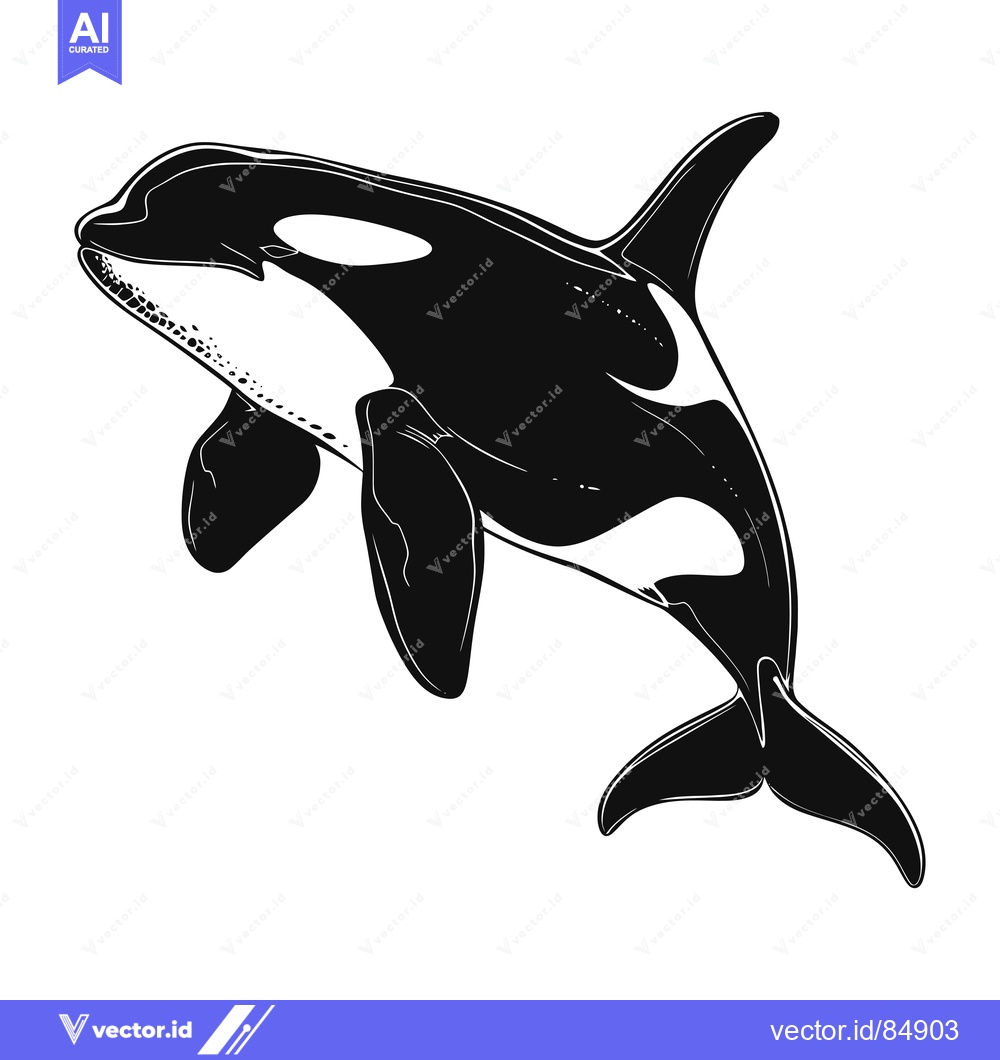 Premium Vector of Black and White Illustration of an Orca Whale Leaping Out of the Water