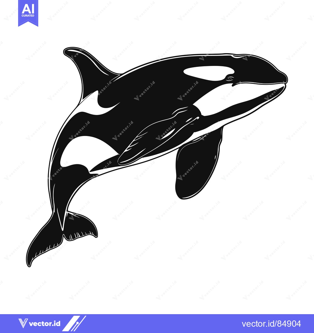 Premium Vector dari Black and White Silhouette of an Orca Jumping Out of the Water