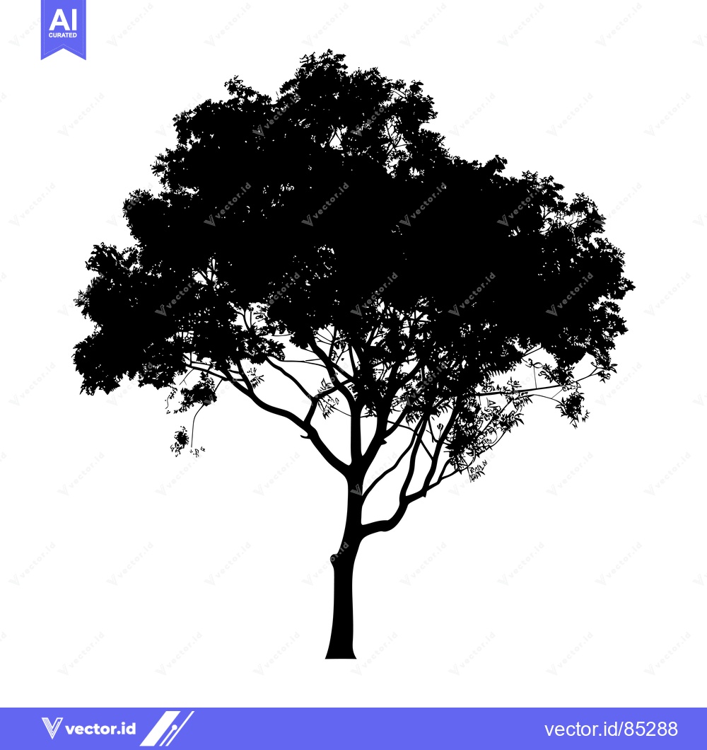 Premium Vector dari Silhouette of a Deciduous Tree with Spreading Branches