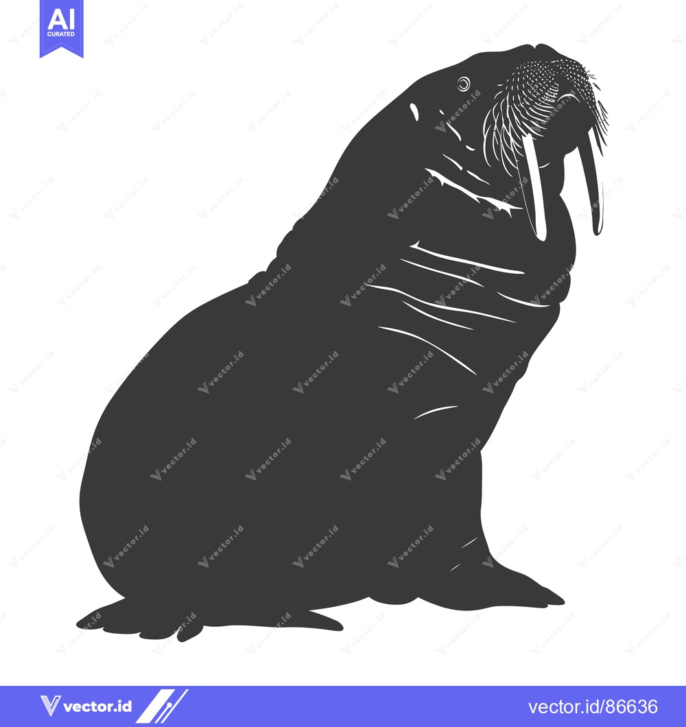 Premium Vector of Black and White Silhouette of a Walrus with Tusk