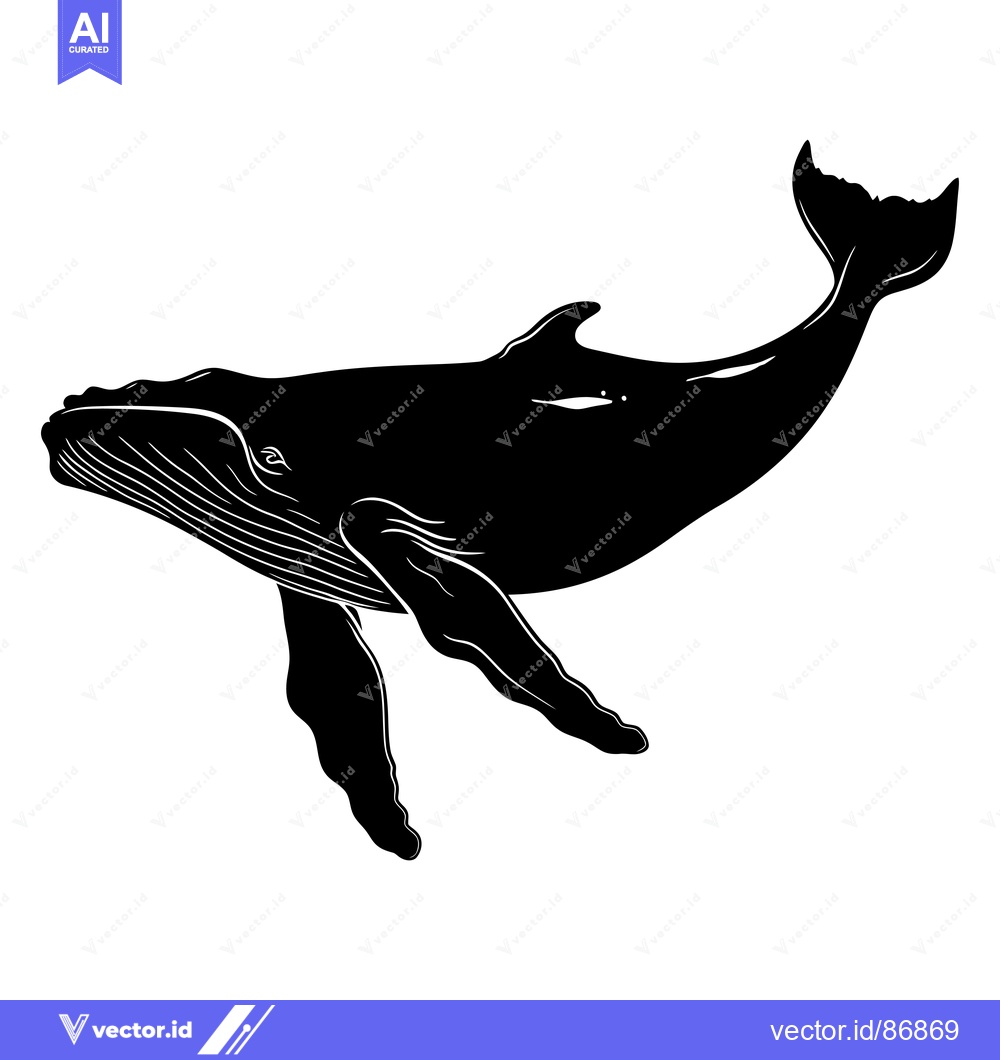 Premium Vector dari Black and White Silhouette of a Humpback Whale