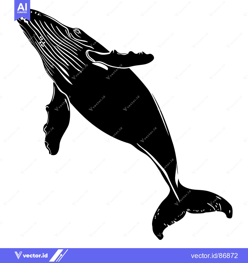 Premium Vector of Silhouette of a Humpback Whale Swimming Upwards