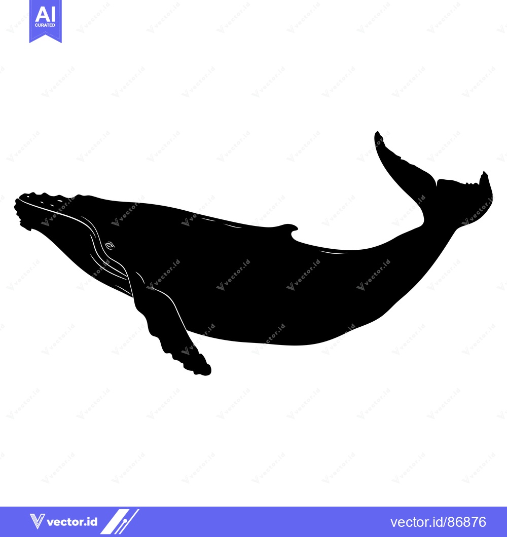 Premium Vector of Black and White Silhouette of a Humpback Whale Swimming