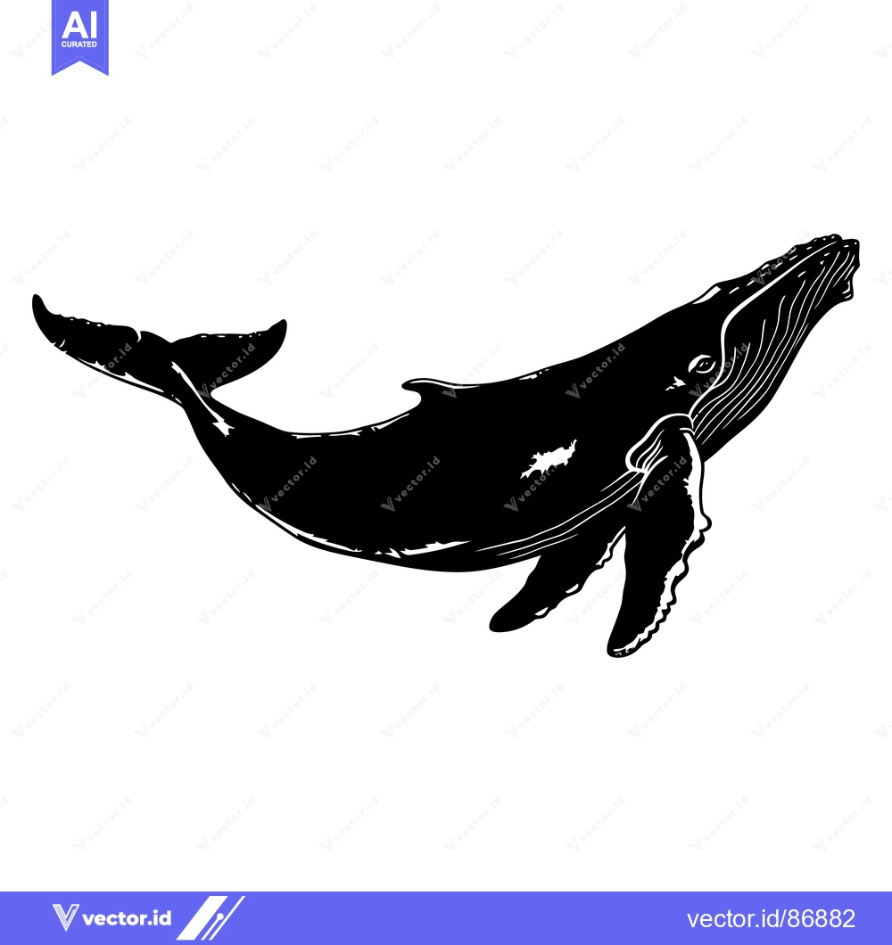 Premium Vector of Black and White Silhouette of a Humpback Whale Swimming