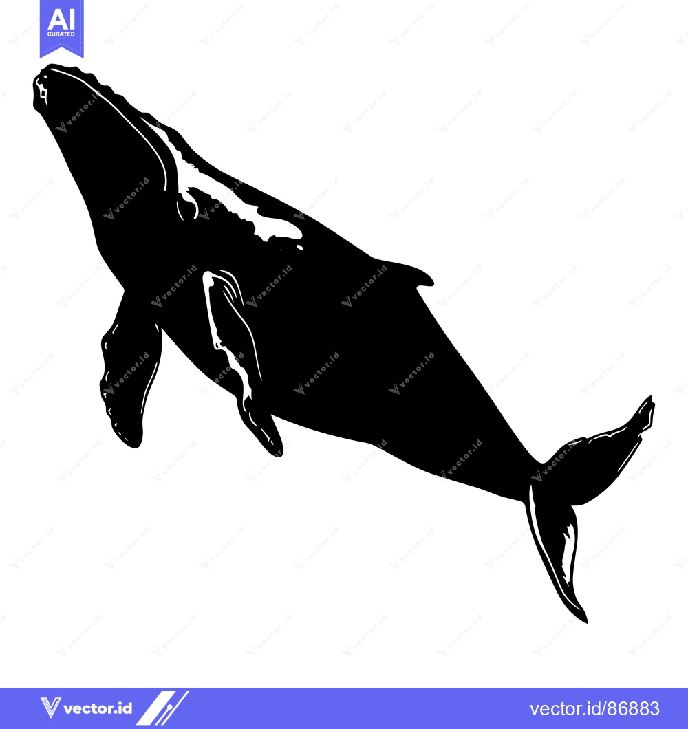 Premium Vector dari Black and White Silhouette of a Humpback Whale