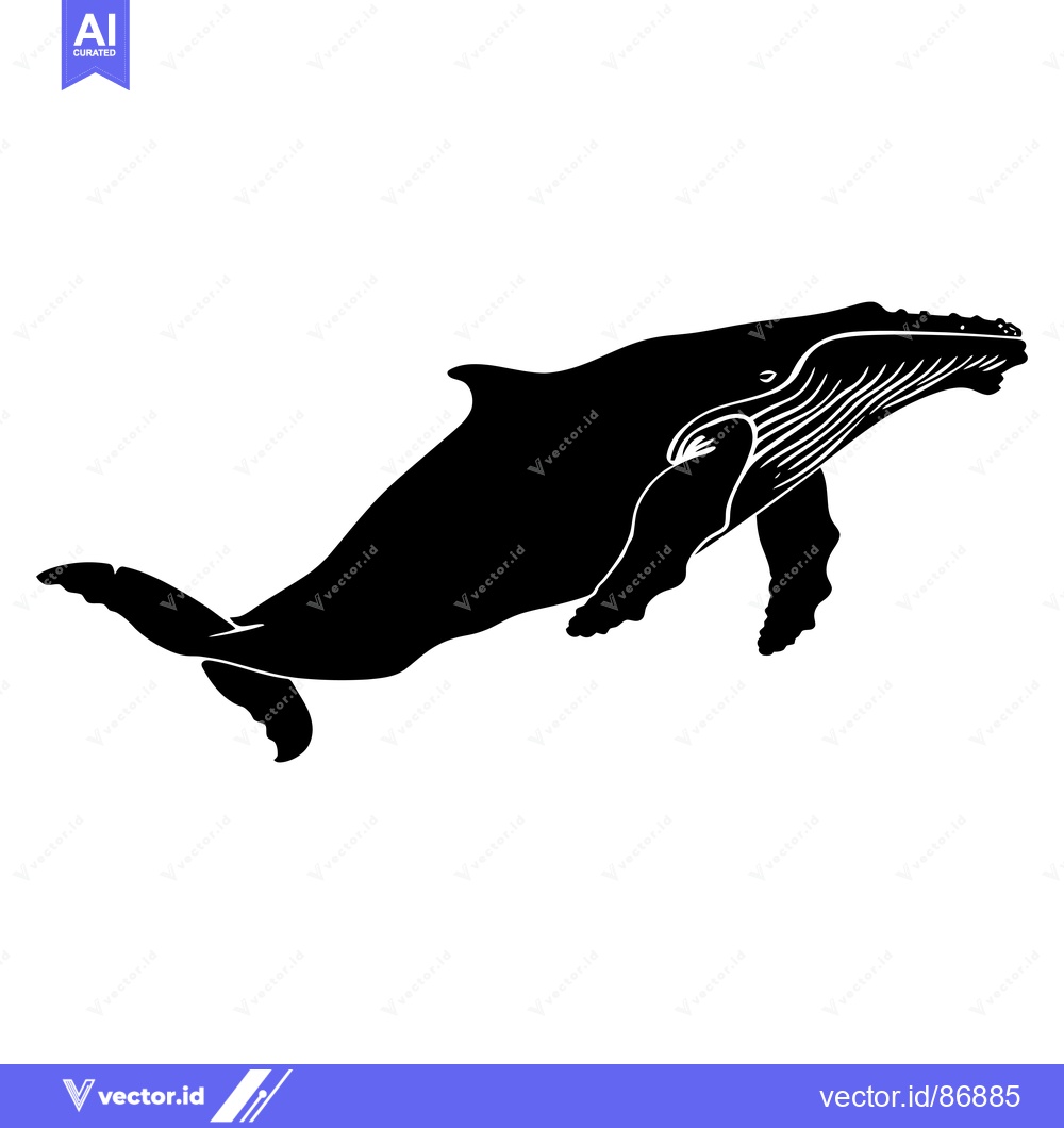 Premium Vector of Black and White Silhouette of a Humpback Whale