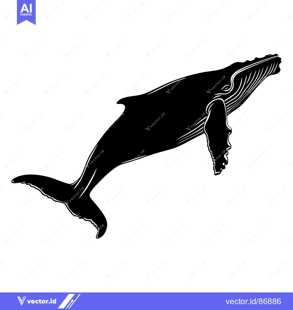 Premium Vector dari Black and White Silhouette of a Humpback Whale Leaping Out of the Wate