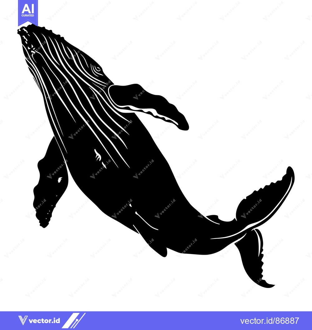 Premium Vector of Black and White Silhouette of a Humpback Whale
