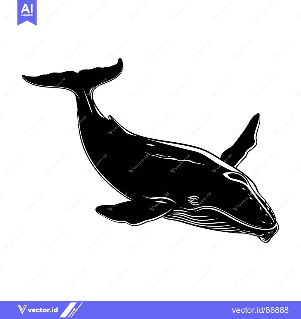 Premium Vector dari Black and White Silhouette of a Humpback Whale