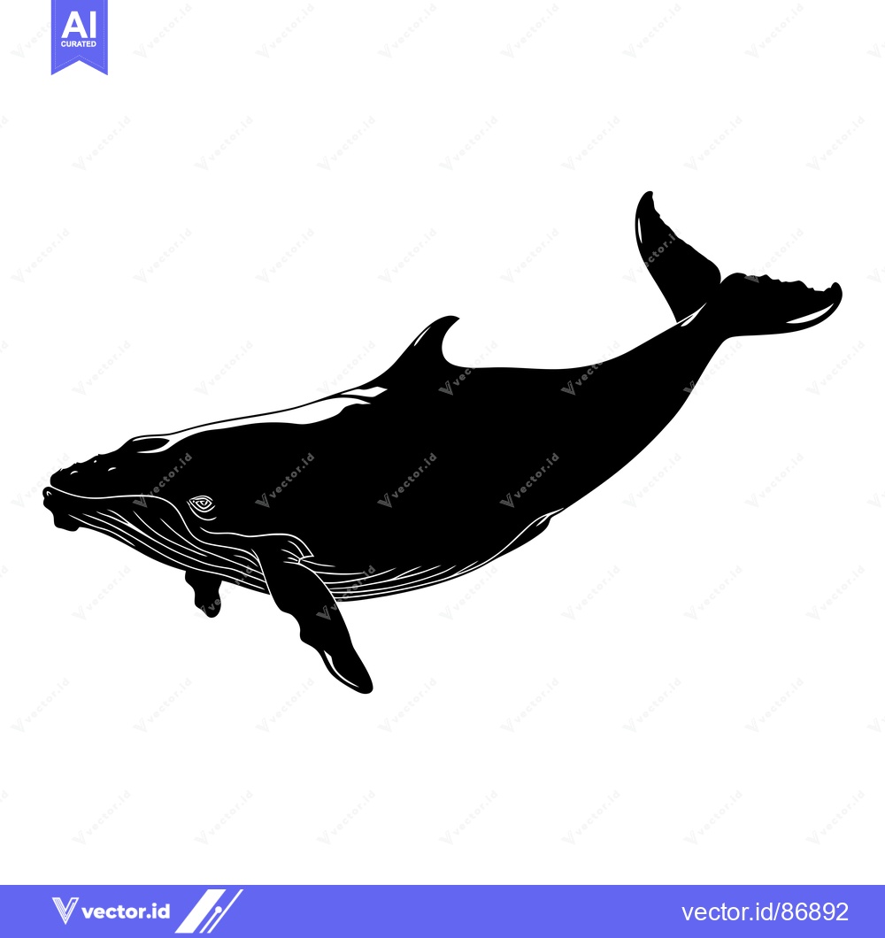 Premium Vector dari Black and White Silhouette of a Humpback Whale