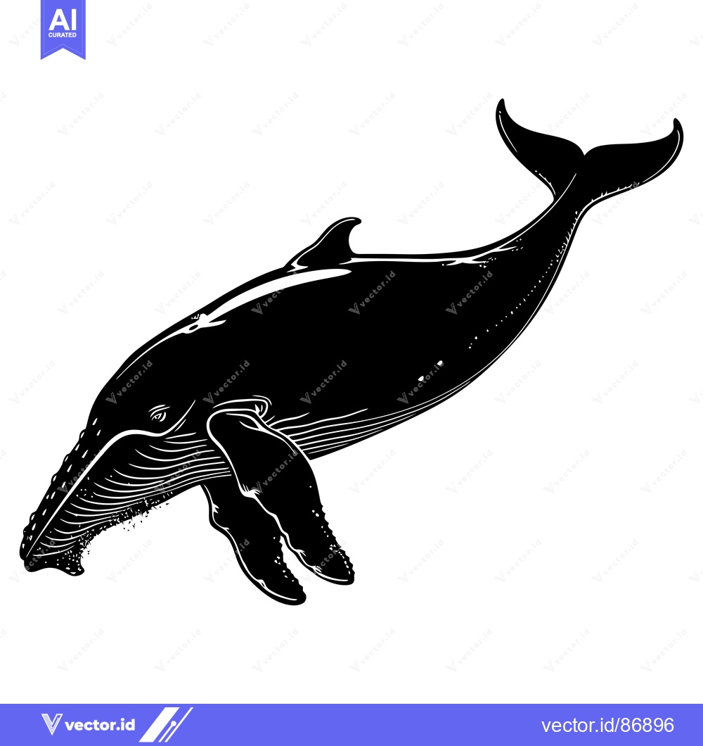 Premium Vector dari Black and White Silhouette of a Humpback Whale Leaping Out of the Wate