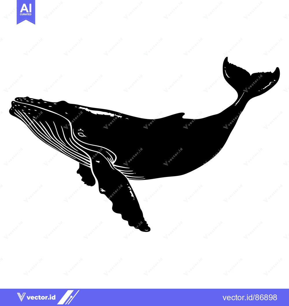 Premium Vector dari Black and White Silhouette of a Humpback Whale