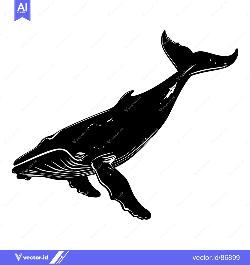 Premium Vector dari Black and white silhouette of a humpback whale