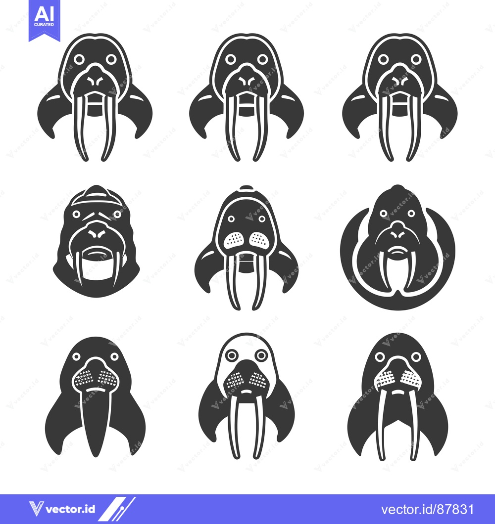 Premium Vector of Nine Black and White Walrus Illustrations