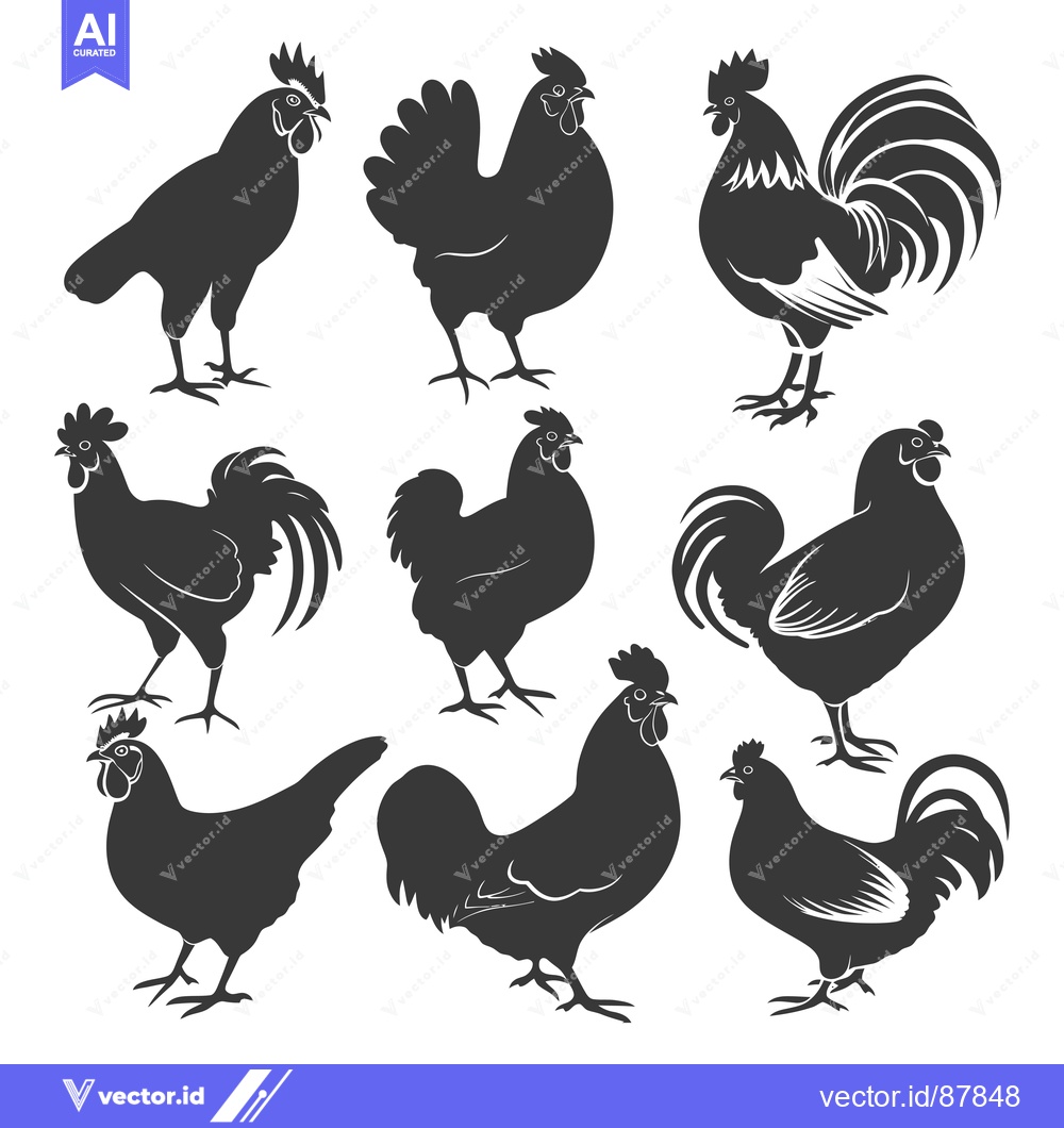 Premium Vector dari Nine Black Silhouettes of Chickens and Roosters