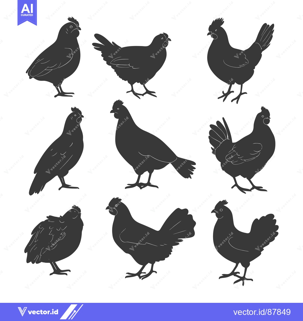 Premium Vector of Nine Black Silhouettes of Chickens and Roosters