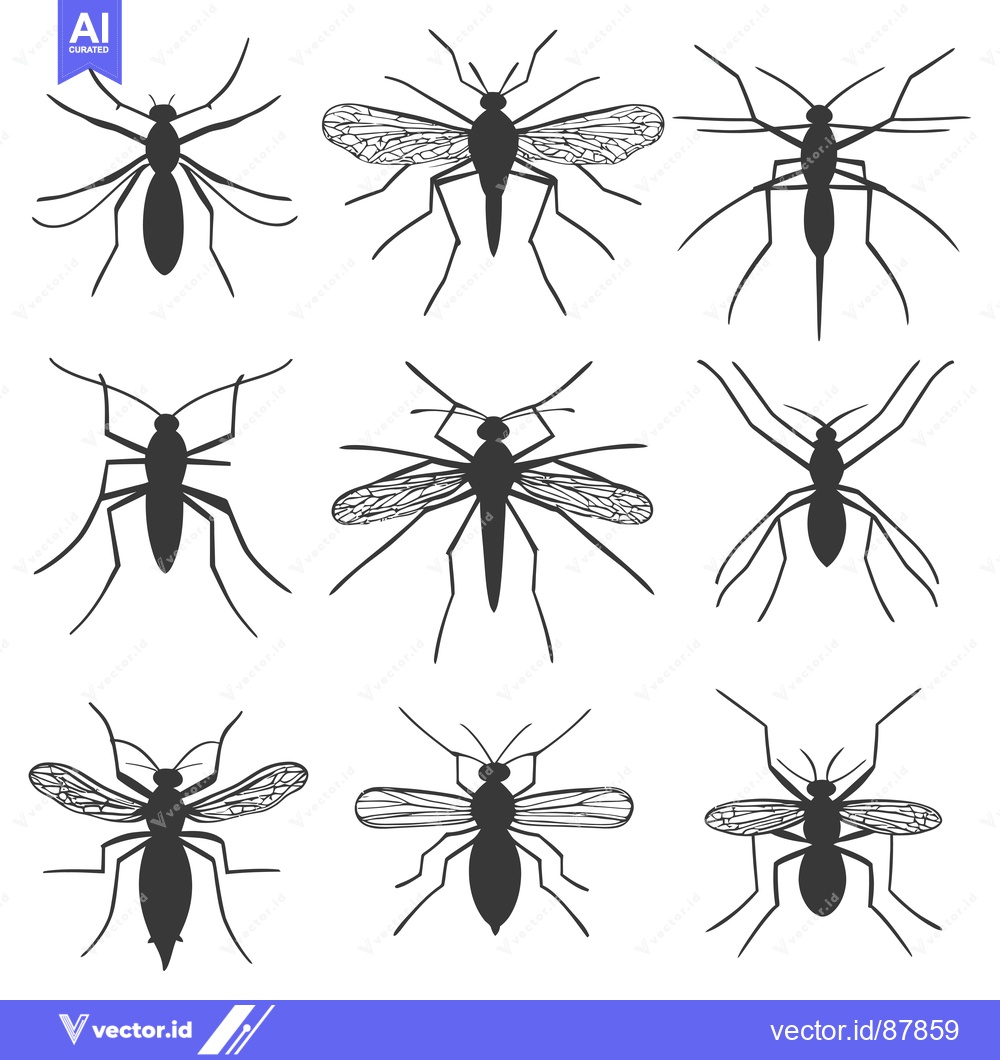 Premium Vector dari Nine Black Silhouettes of Mosquitoes in Various Poses