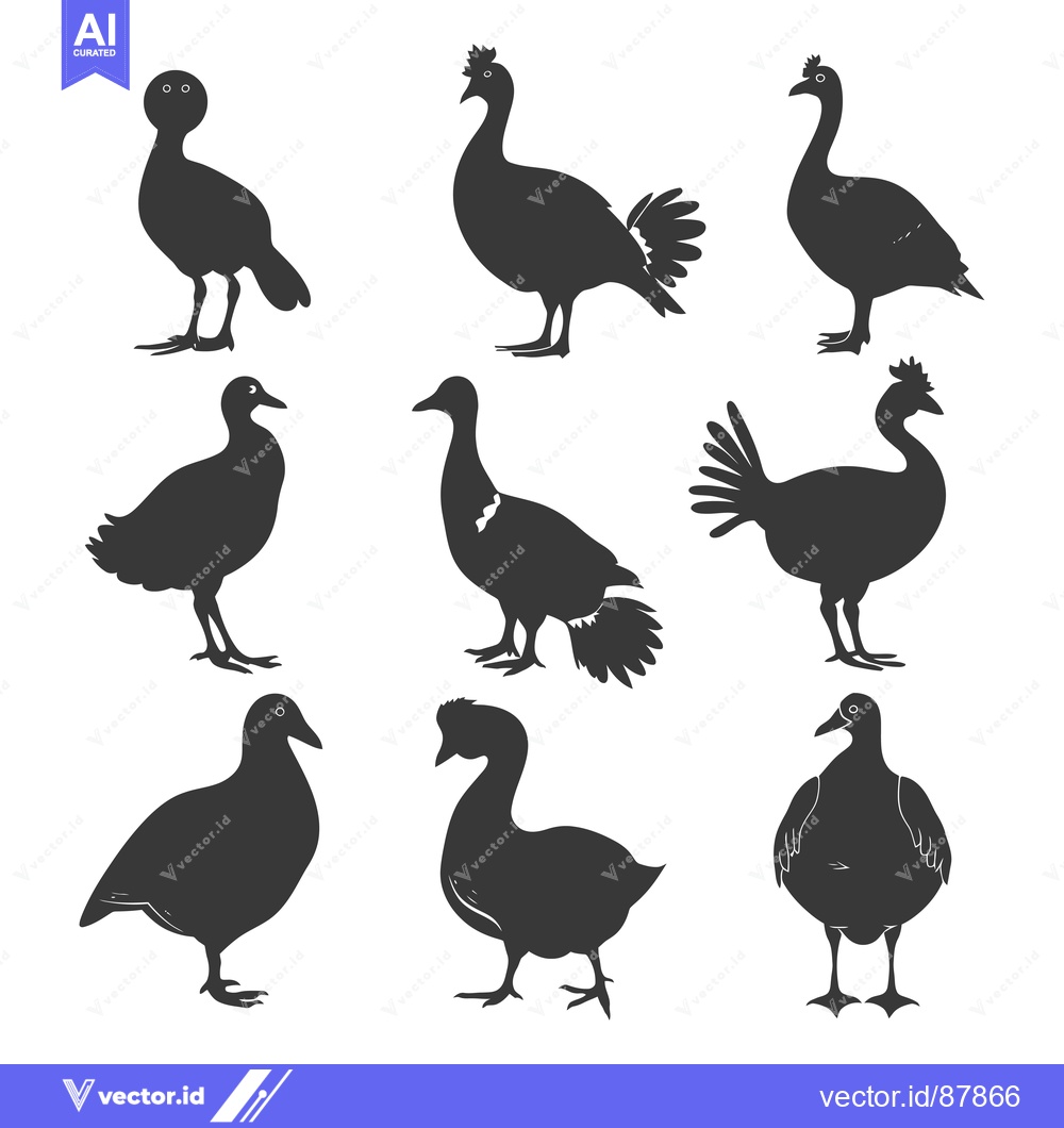 Premium Vector dari Nine Black Silhouettes of Various Bird Species