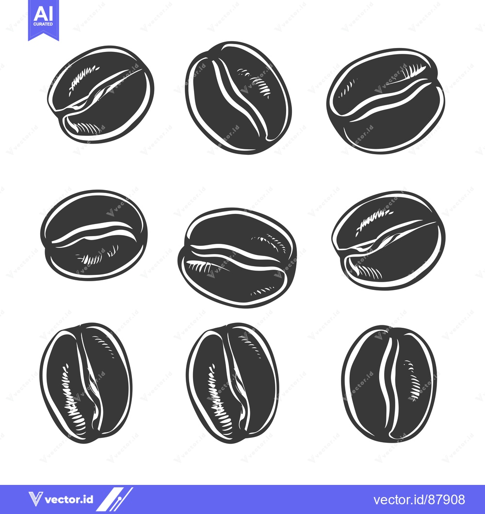 Premium Vector of Nine Detailed Illustrations of Roasted Coffee Beans