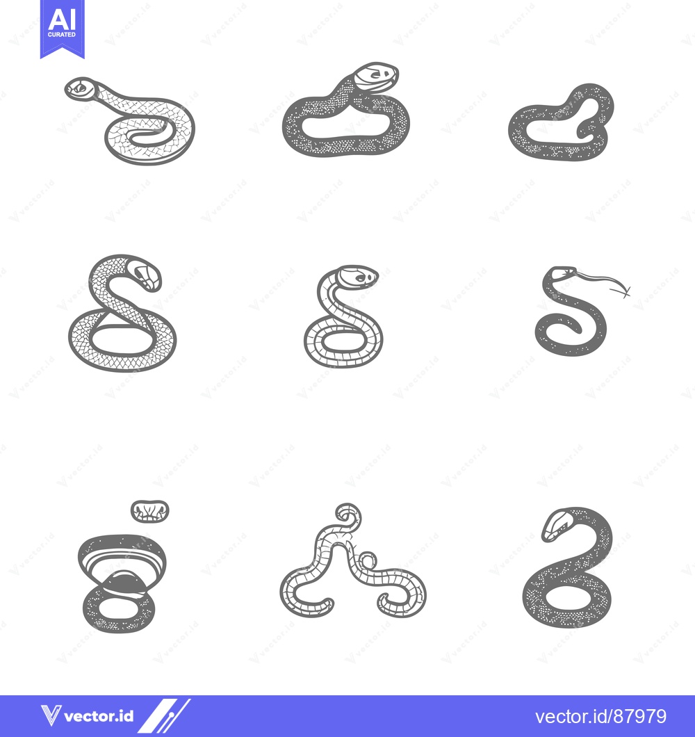 Premium Vector dari Nine Gray Snake Illustrations in Various Poses