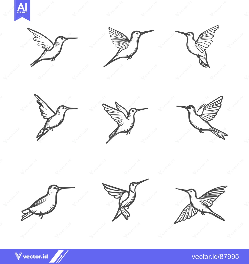 Premium Vector dari Nine Hand-Drawn Hummingbirds in Flight