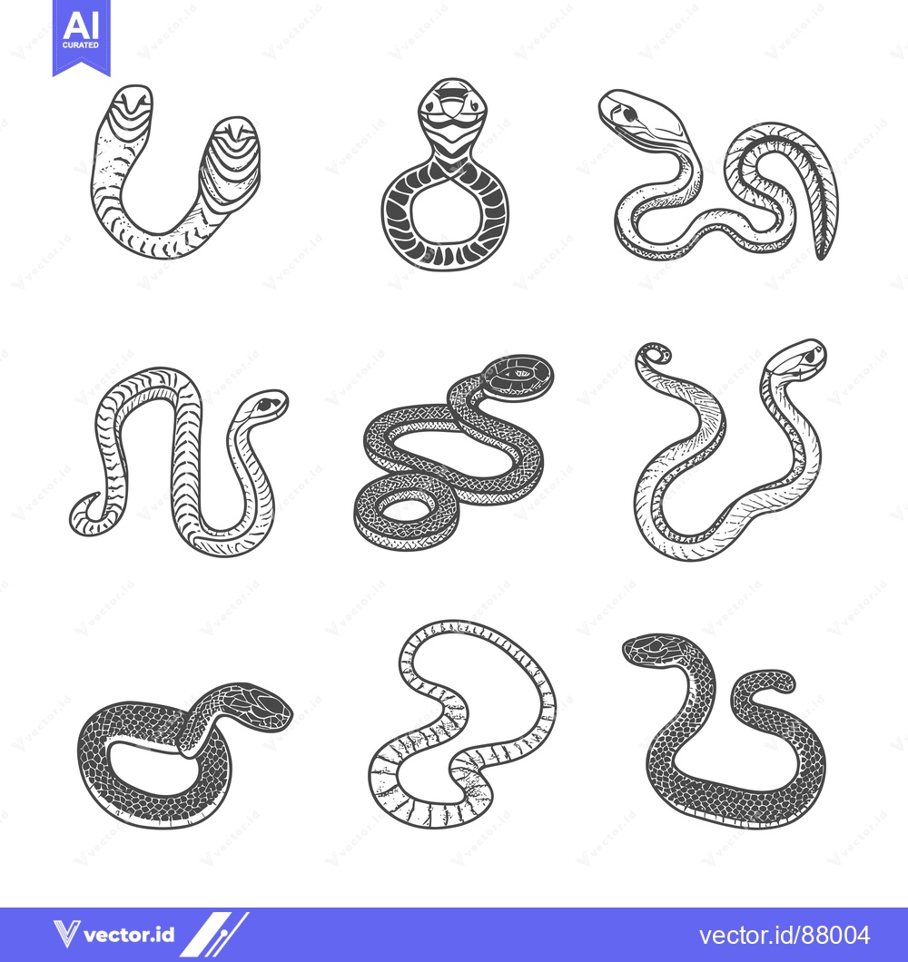 Premium Vector dari Nine Hand-Drawn Sketches of Various Snake Poses
