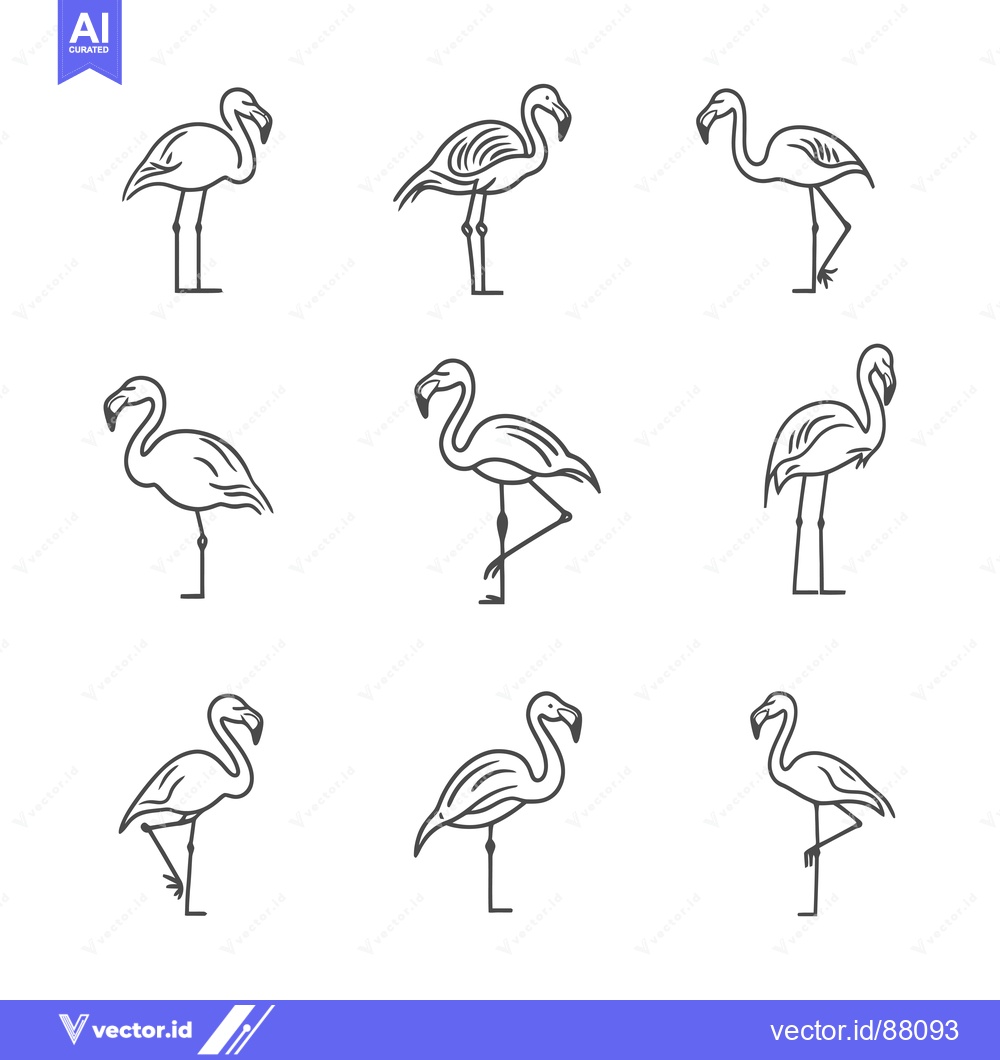 Premium Vector dari Nine Line Drawings of Flamingos in Different Poses