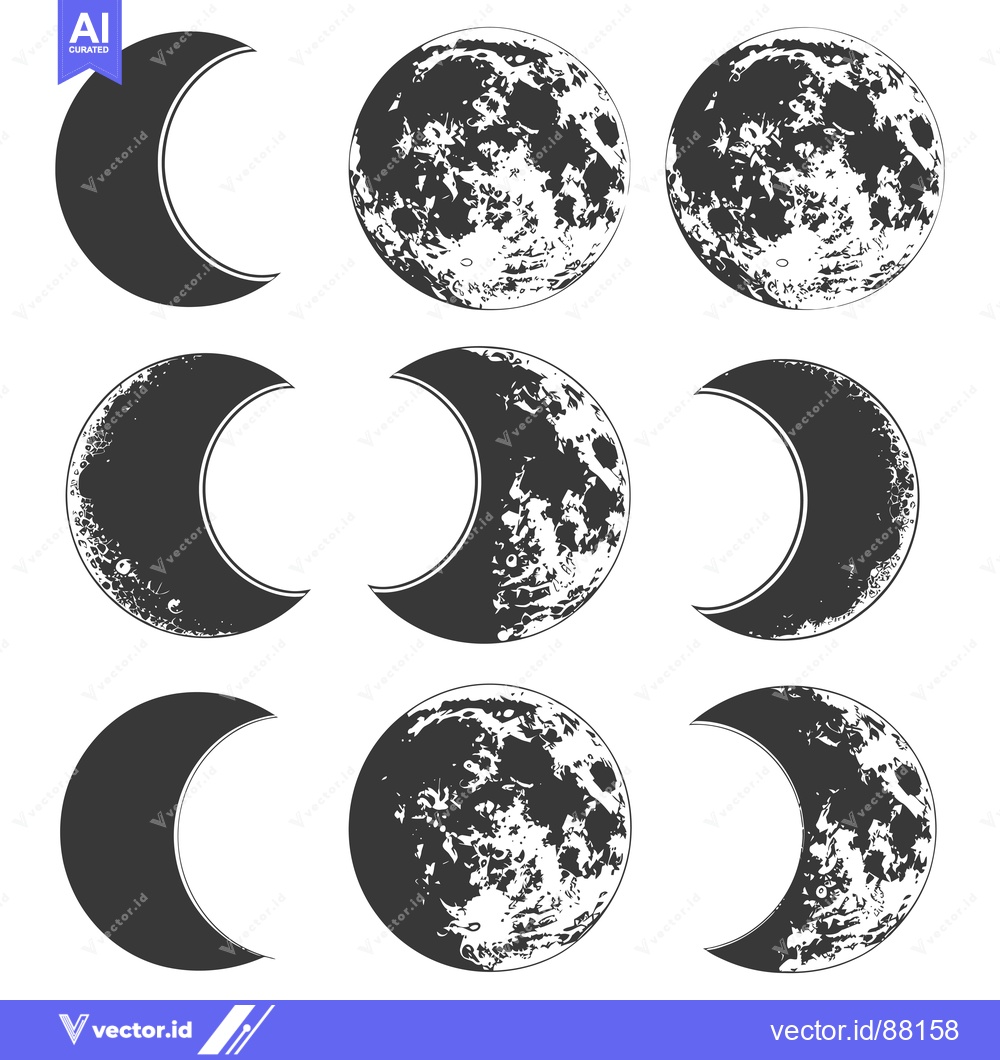 Premium Vector dari Nine Lunar Phases in a Monochromatic Illustration