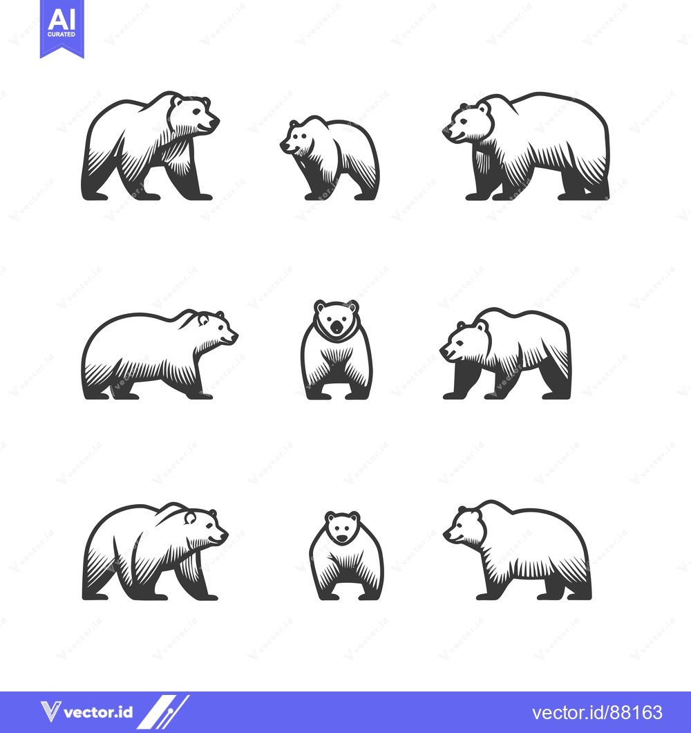 Premium Vector dari Nine Monochrome Bear Illustrations in Various Poses