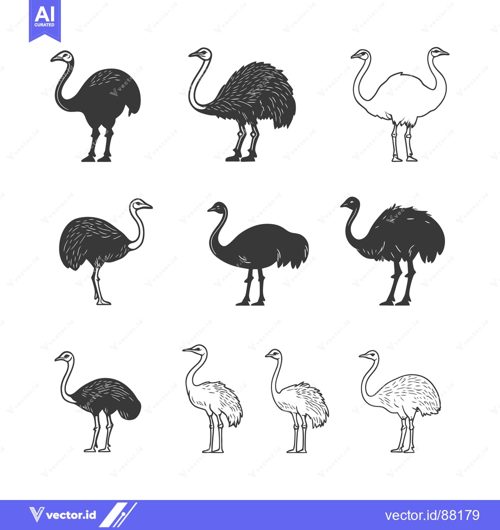 Premium Vector dari Nine Ostrich Illustrations in Black and White Line Art Styles