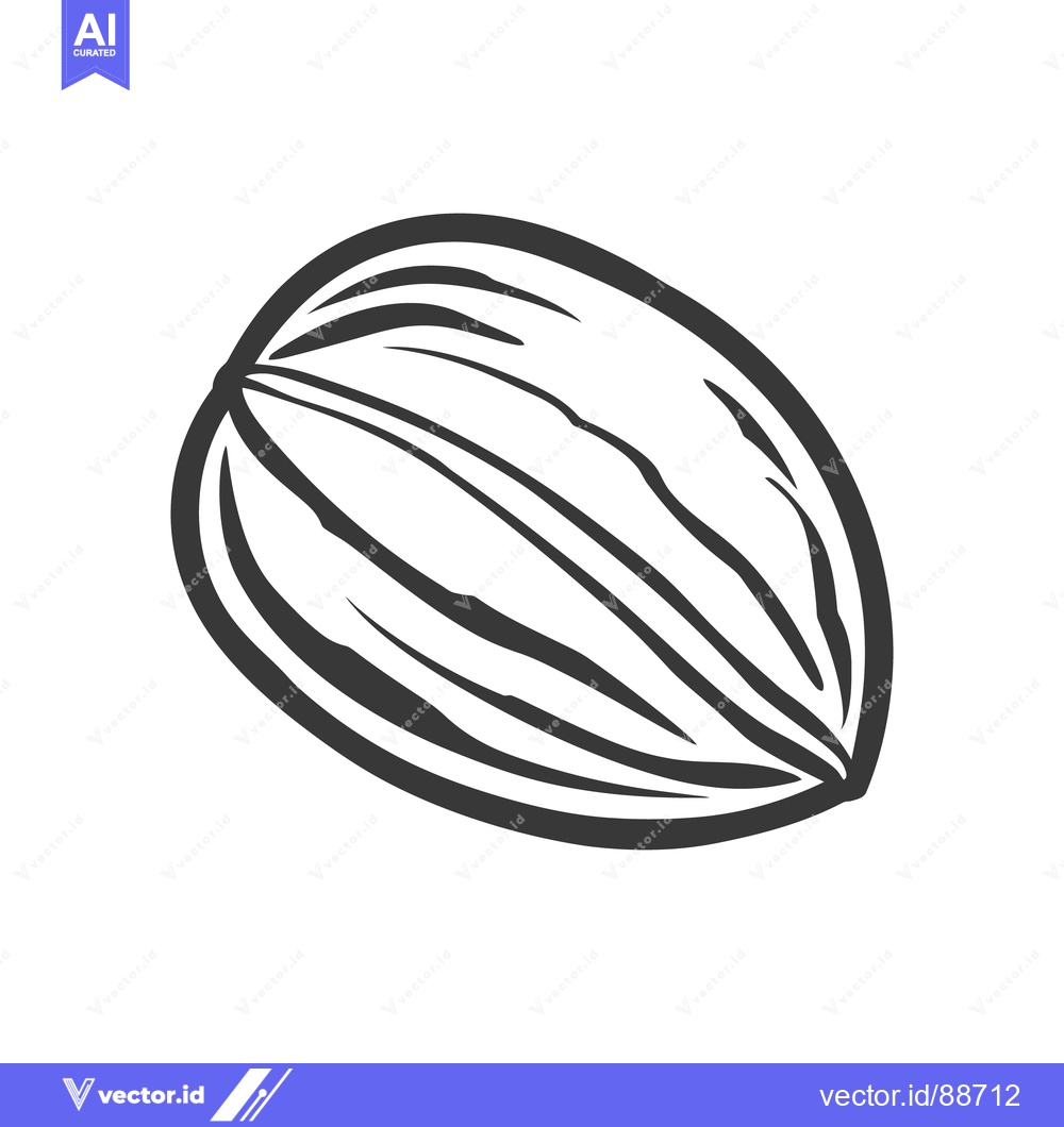 Premium Vector of A simple black and white illustration of a single almond