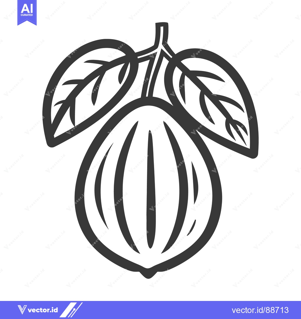 Premium Vector of A black and white illustration of a cacao fruit with leaves