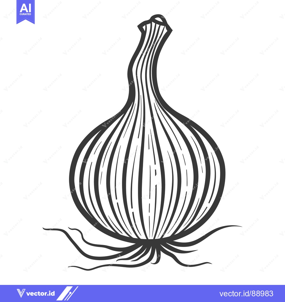 Premium Vector of The illustration presents an isolated black and white garlic bulb