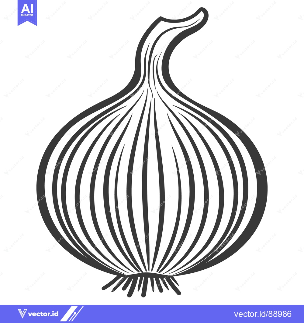 Premium Vector of A black and white line drawing of a bulbous onion