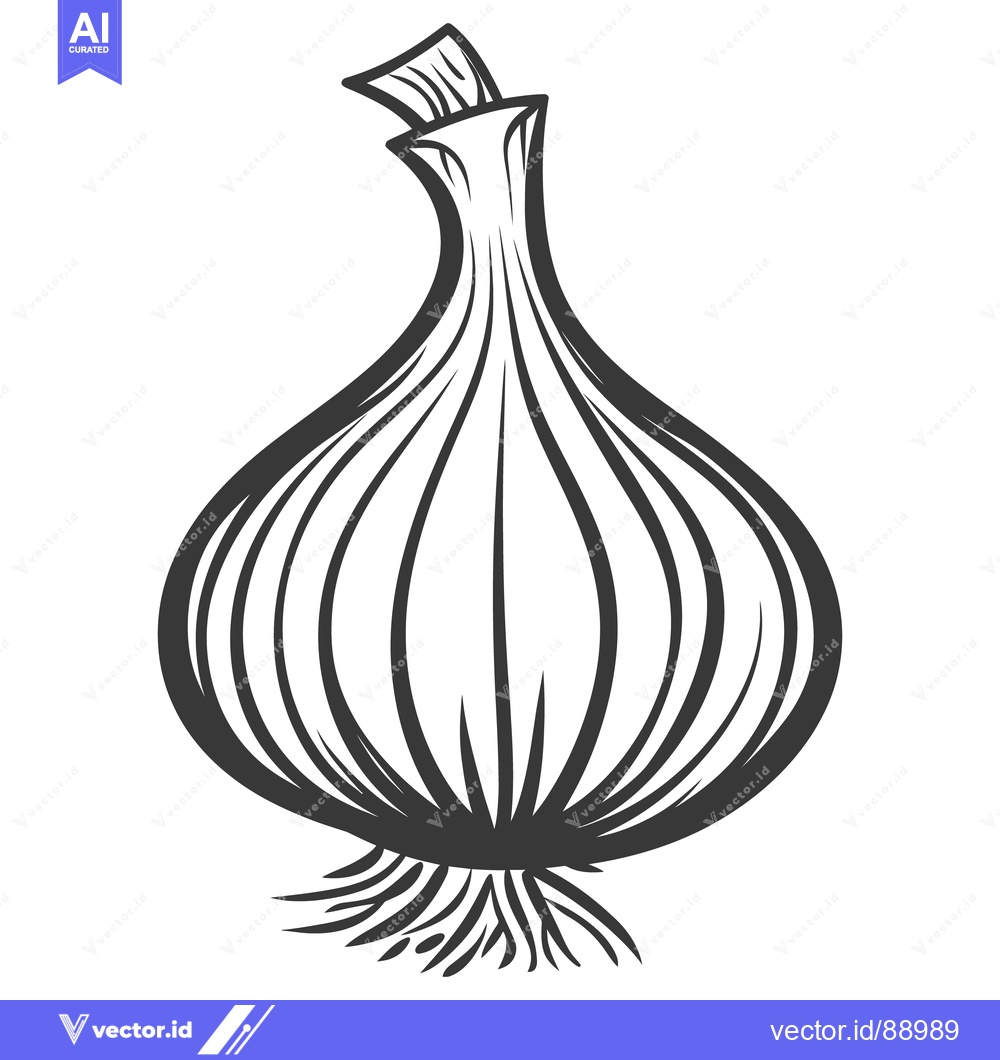 Premium Vector dari A single drawn graphic of a bulb vegetable with leaves