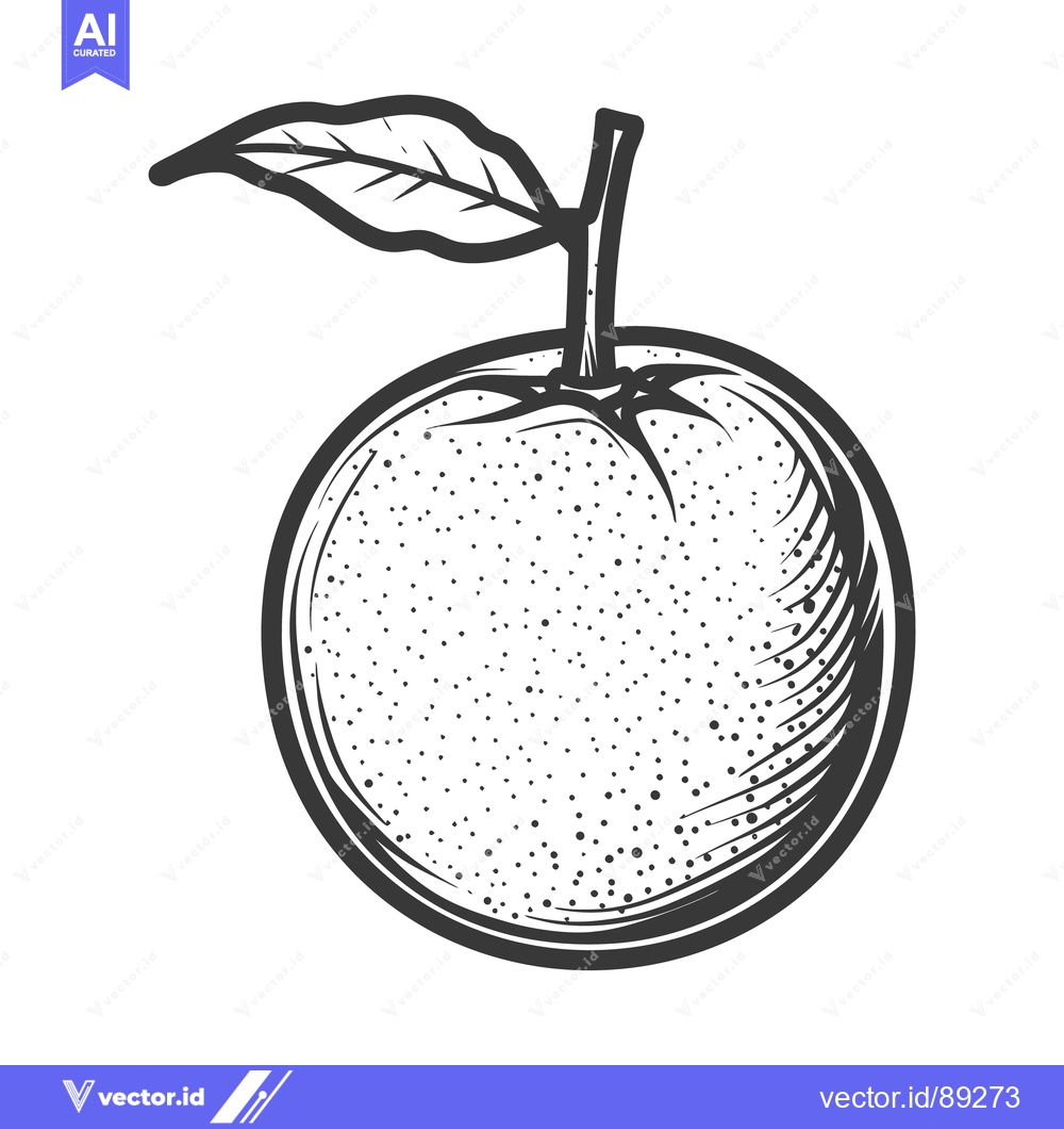 Premium Vector dari A monochrome illustration of an orange fruit and a leafy stem