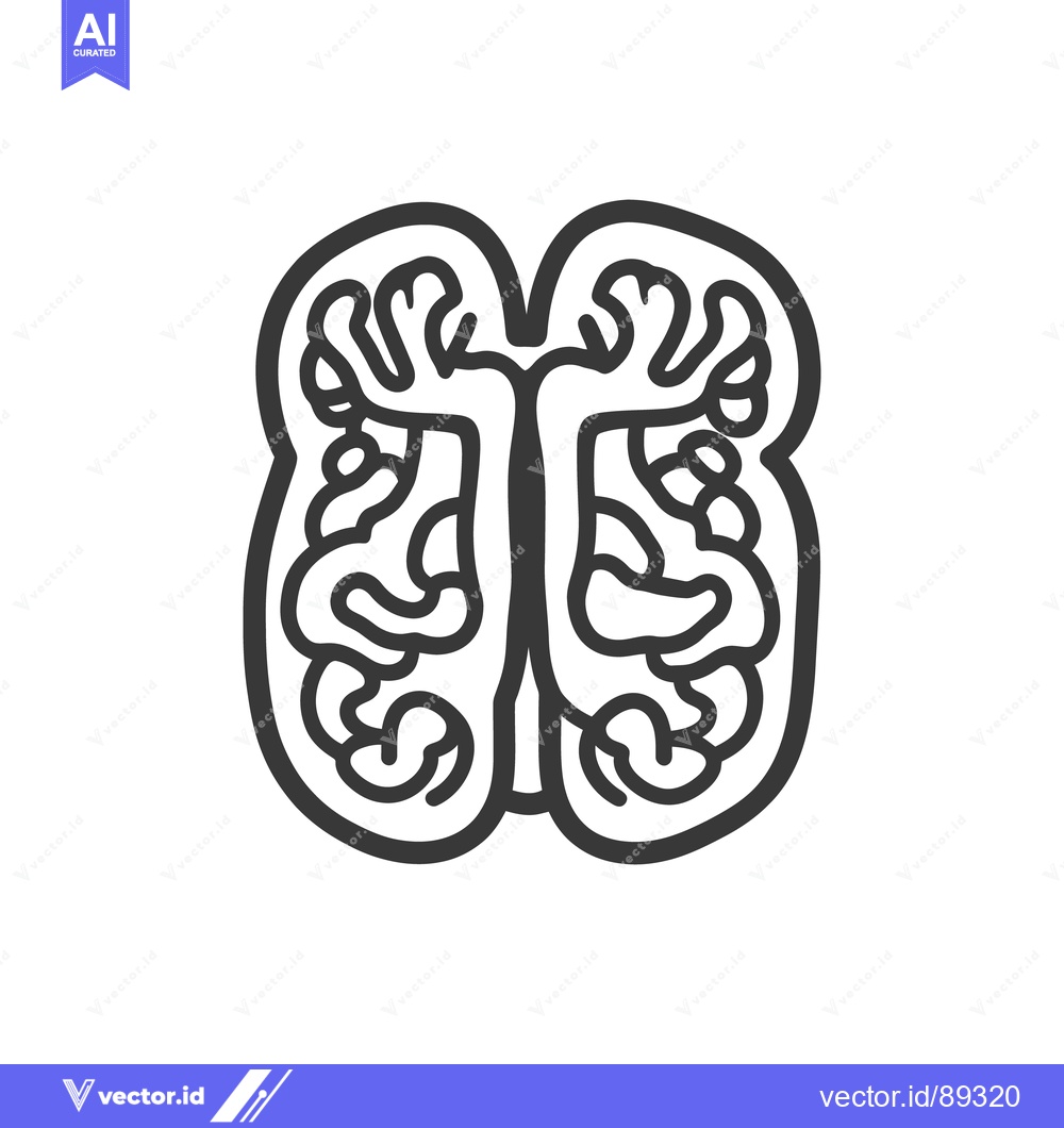 Premium Vector dari A graphic depiction of the human brain in outline form