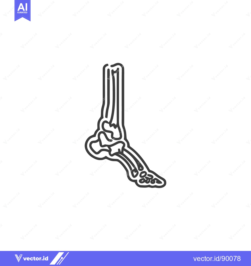 Premium Vector dari Anatomical Foot Skeleton Line Art Illustration on White Background