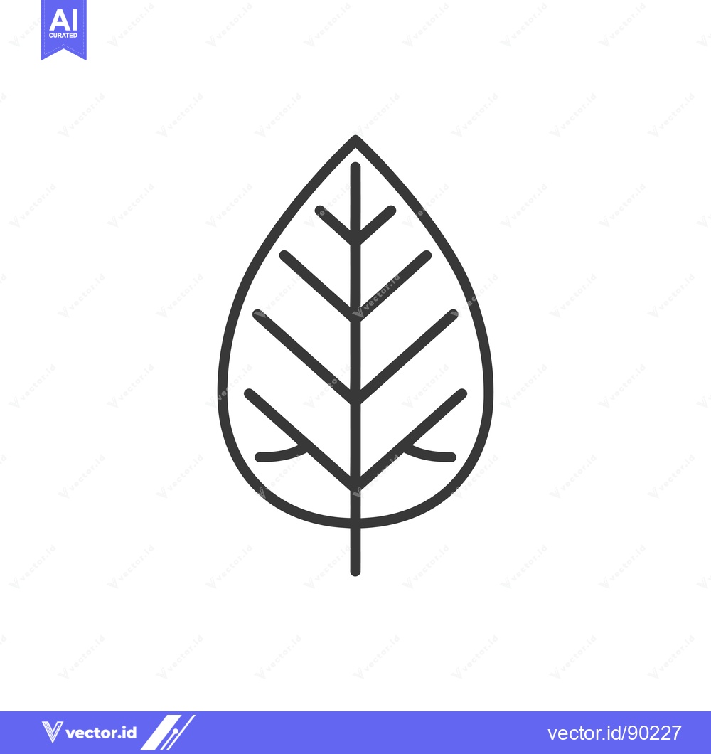 Premium Vector dari Outline drawing of a single leaf with veins