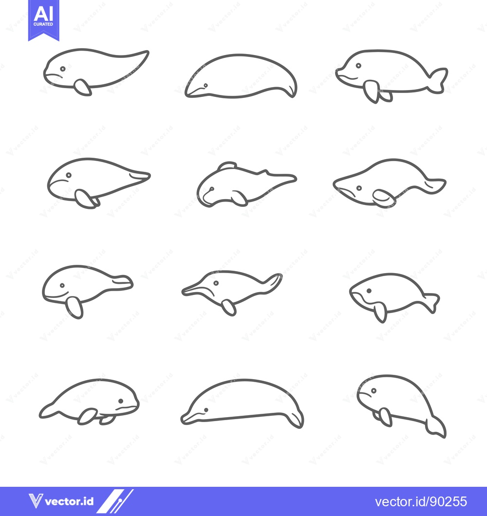 Premium Vector dari Outline Drawings of Different Types of Dolphins
