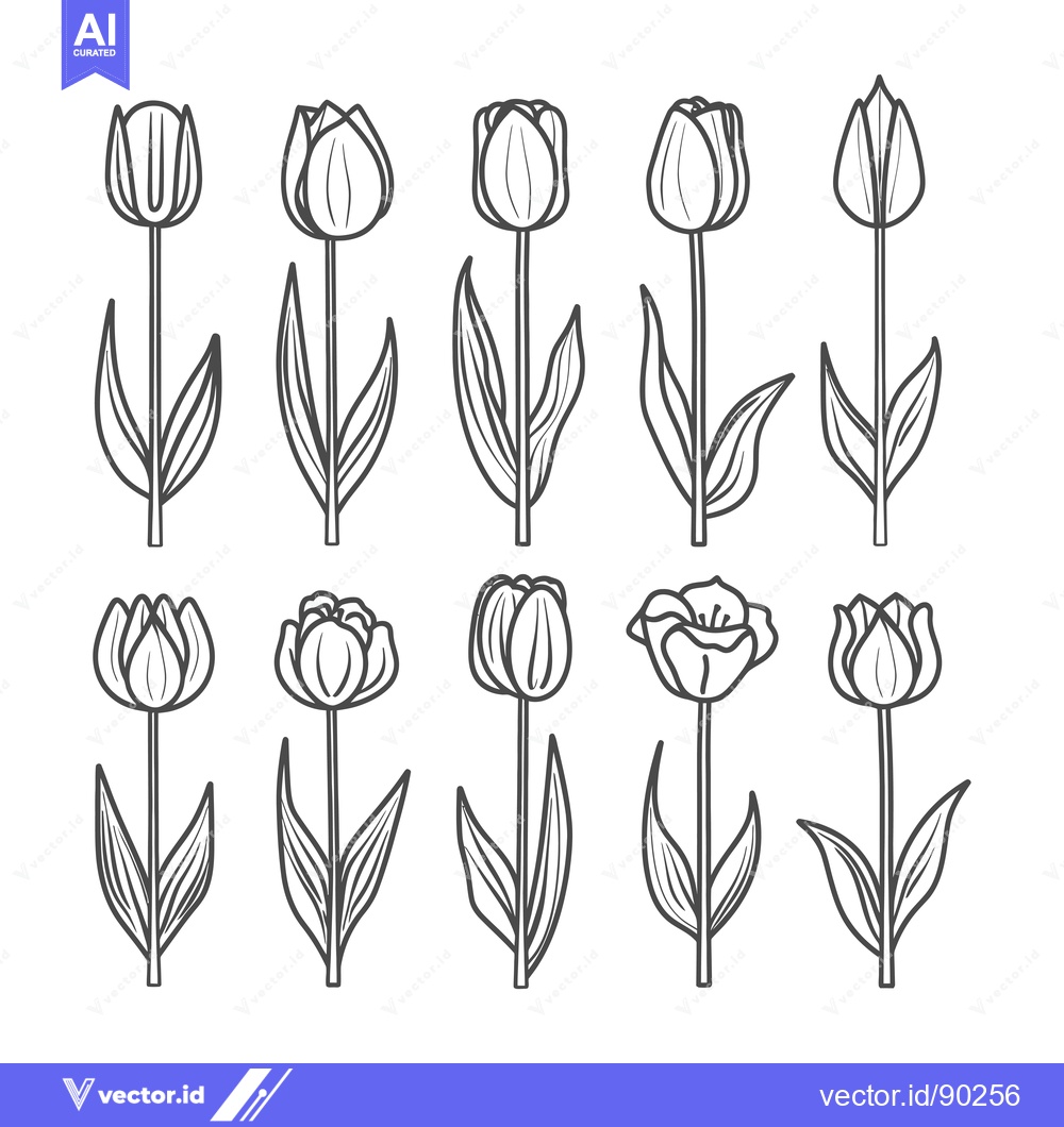 Premium Vector of Outline Drawings of Ten Tulips in Various Stages of Bloom