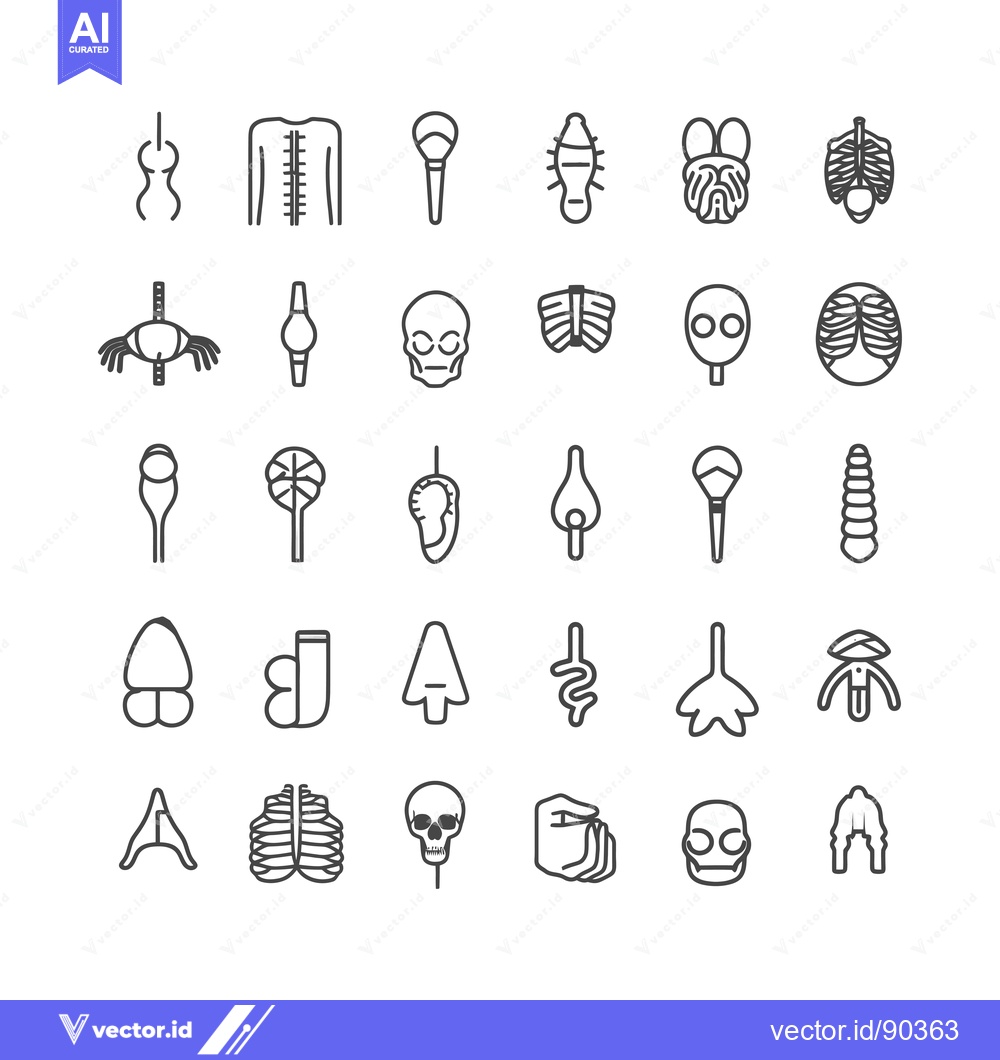 Premium Vector dari Outline Icons of Human Anatomical Structures