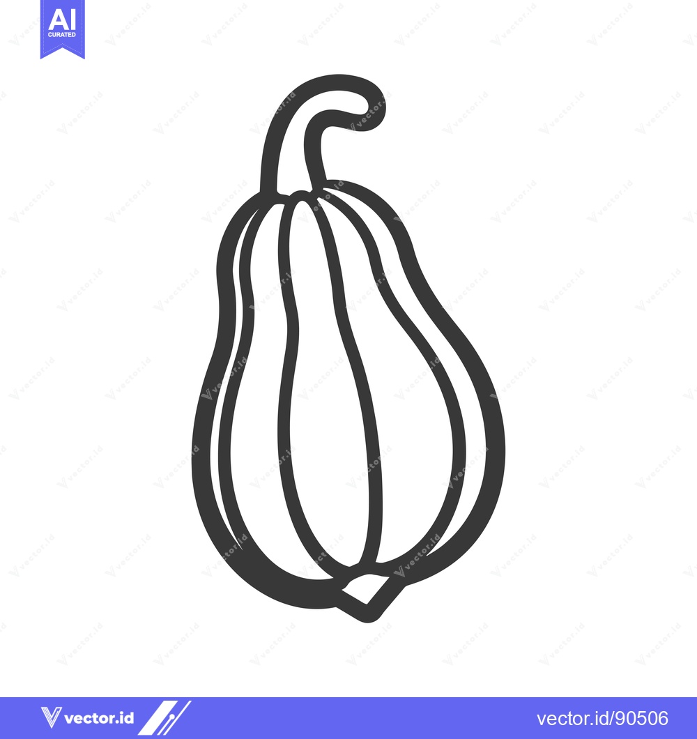 Premium Vector of Outline Illustration of a Single Butternut Squash