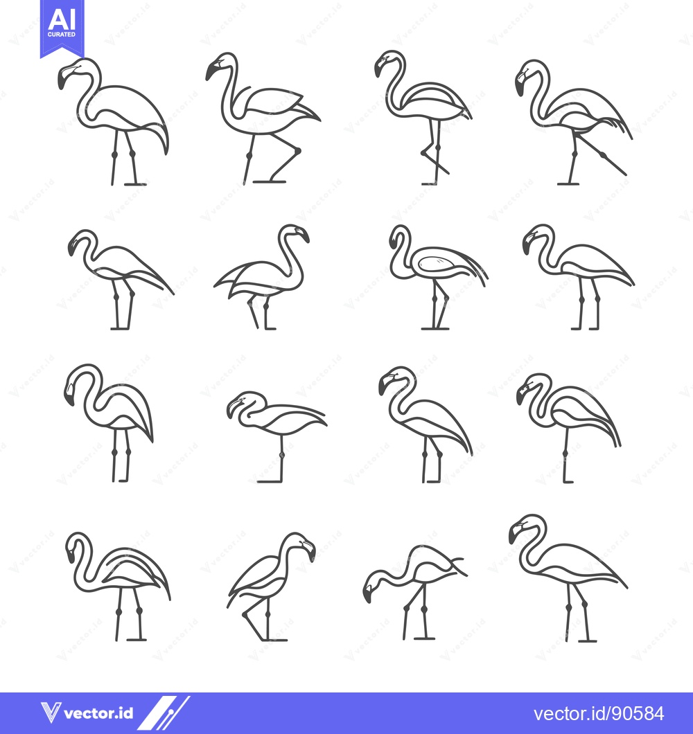 Premium Vector dari Outline Illustrations of Flamingos in Various Poses