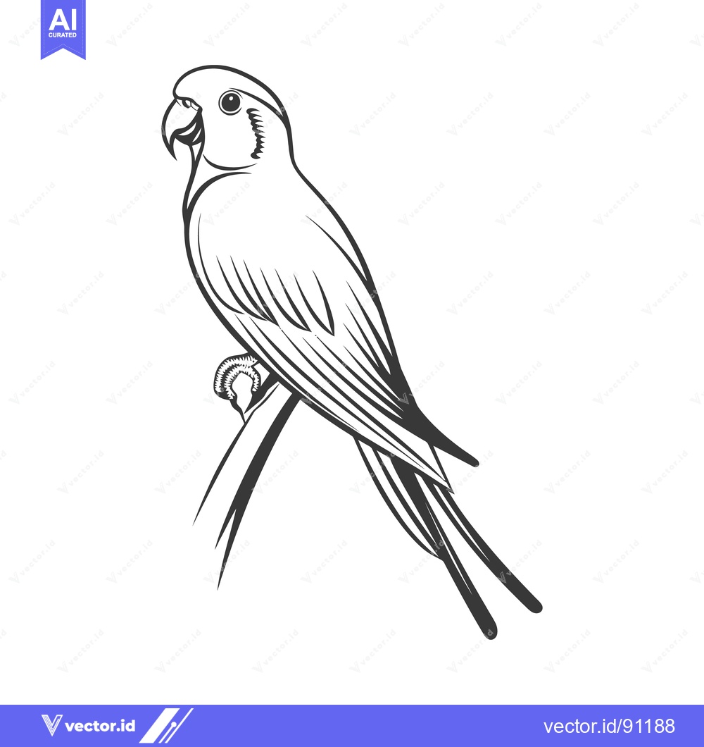 Premium Vector dari Detailed black and white sketch of a parrot perched on a branch
