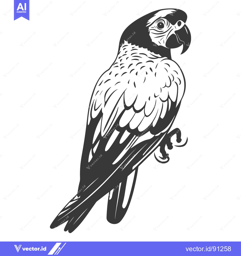 Premium Vector of A black and white illustration featuring a vibrant perched bird of the