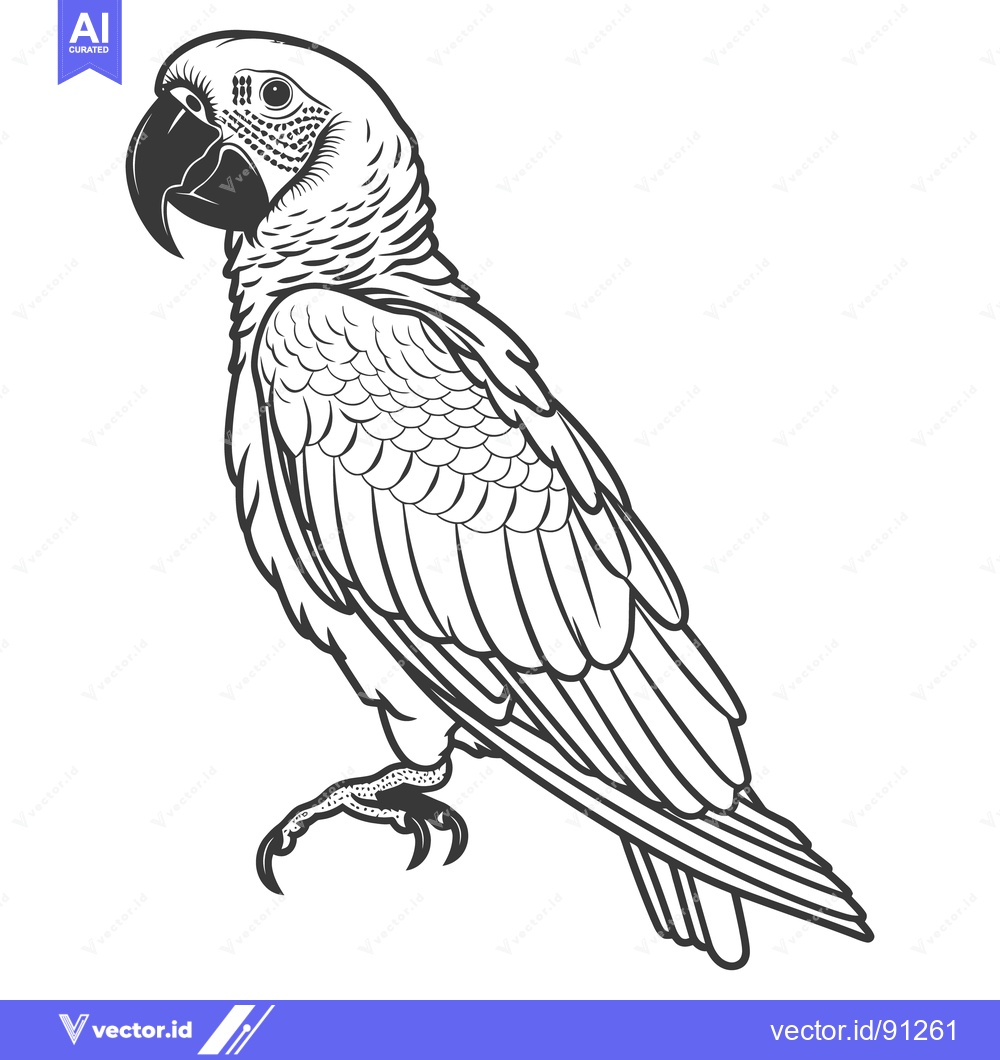 Premium Vector of A detailed black and white illustration of a parrot bird