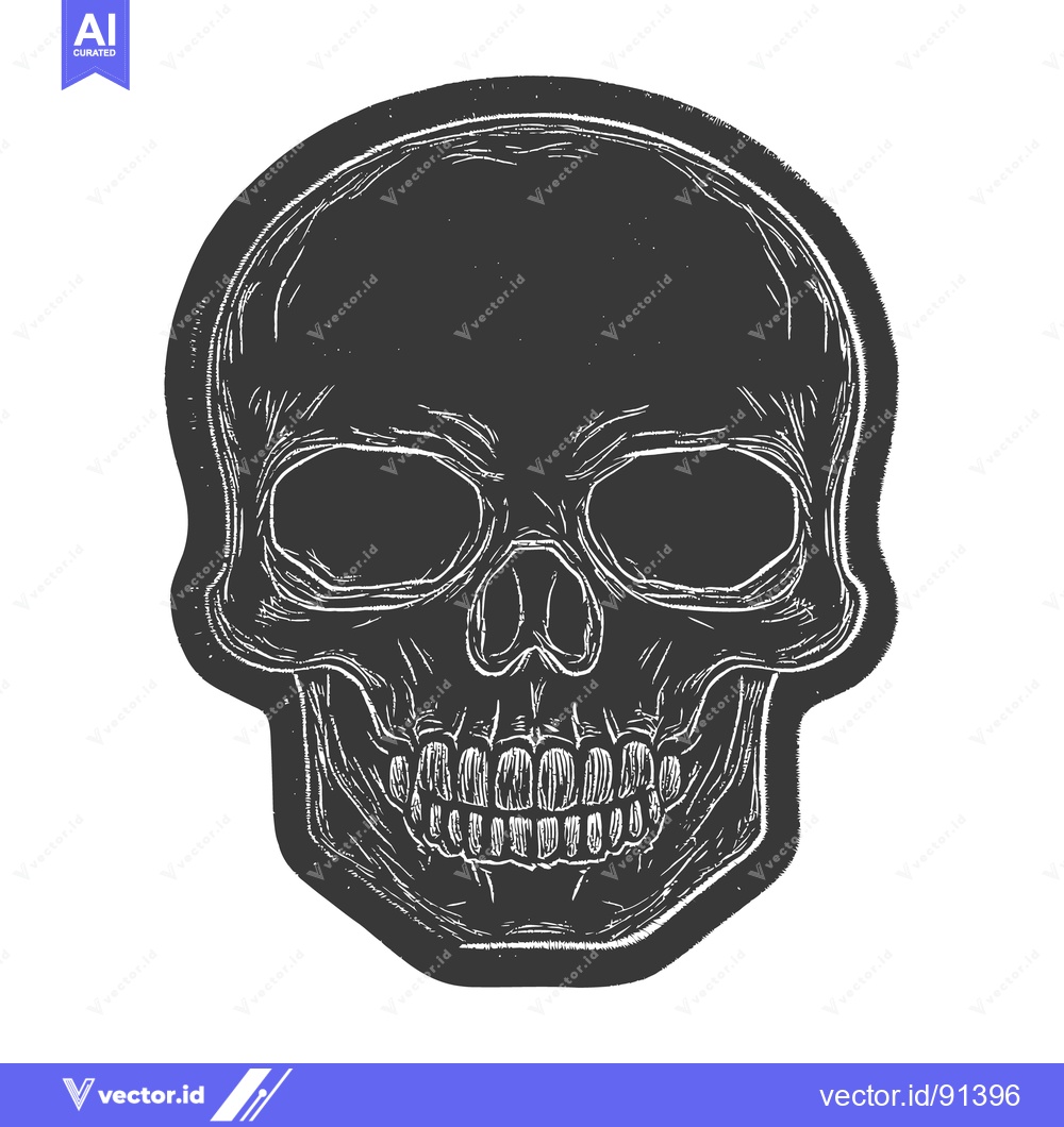 Premium Vector of The illustrated skull graphic displays the human skeletal structure on